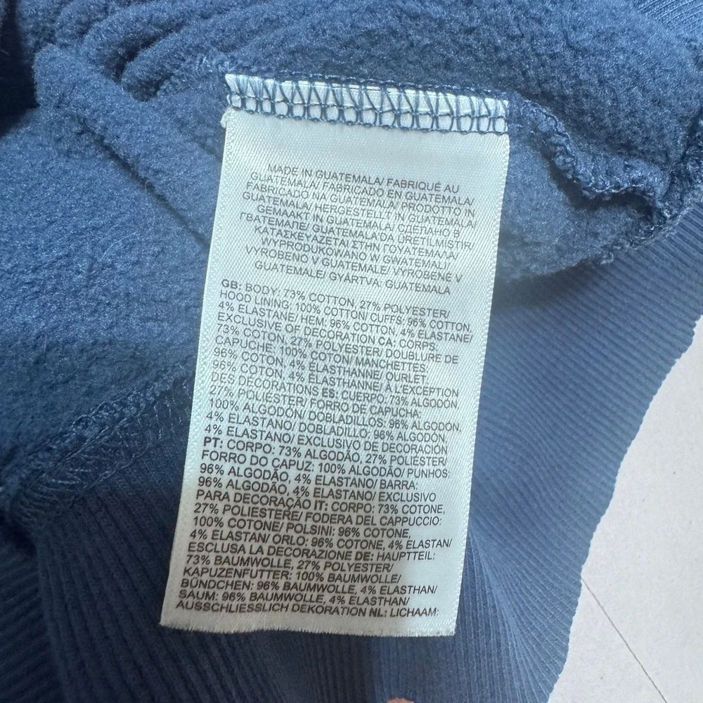 The North Face Mens Royal Blue Bear Graphic Hoodie Never Stop Exploring Small